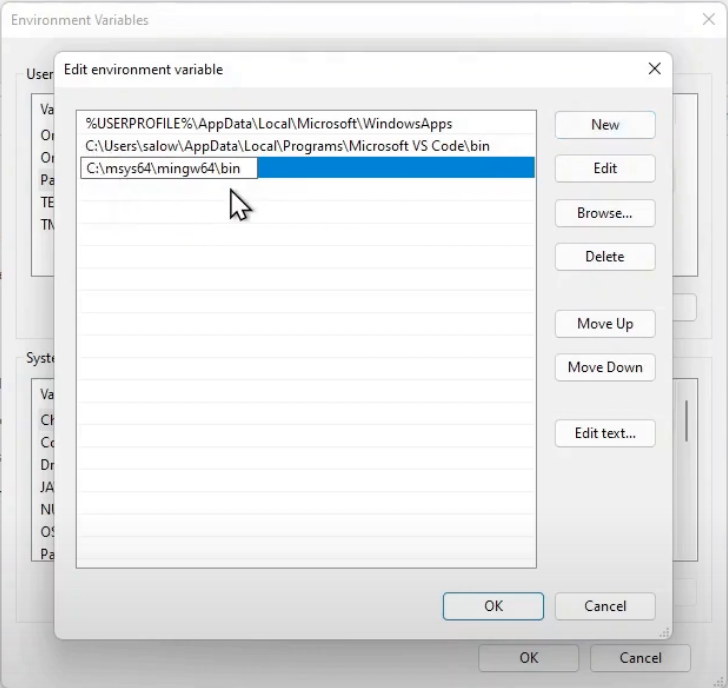 Adding the Msys2 Path to System environmental variable for windows 