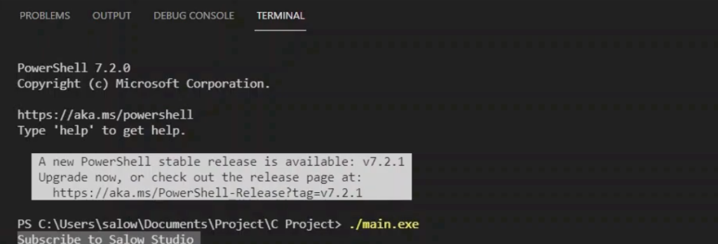 Running C Program on Visual Studio in terminal